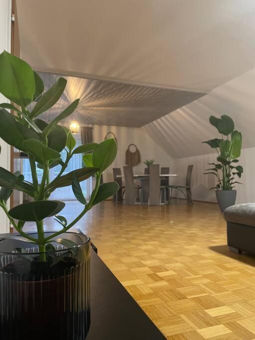 Fewo Boho 110 Qm Mit Bergblick 3 Min Bahnhof Lejlighed Laufen Eksteriør billede